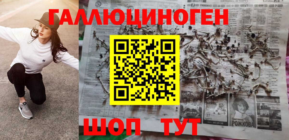 Псилоцибиновые грибы Cubensis Златоуст