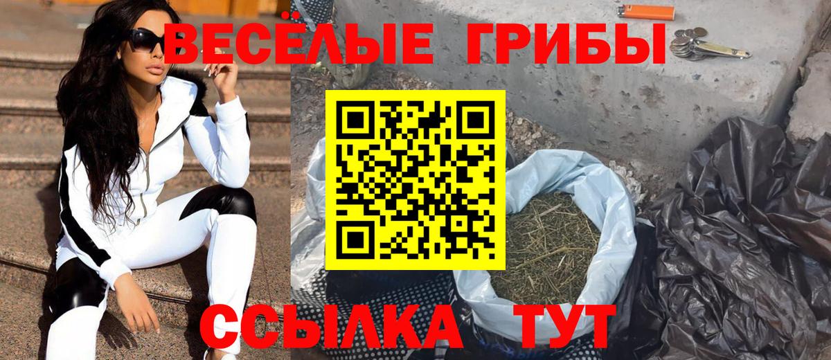 Златоуст  Псилоцибиновые грибы MAGIC MUSHROOMS  Вход с VPN 